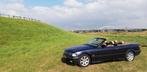 BMW 3-Serie 1.8 I 318 Cabriolet 1997 Madeira Violet , paars, 1345 kg, Achterwielaandrijving, Beige, Cabriolet