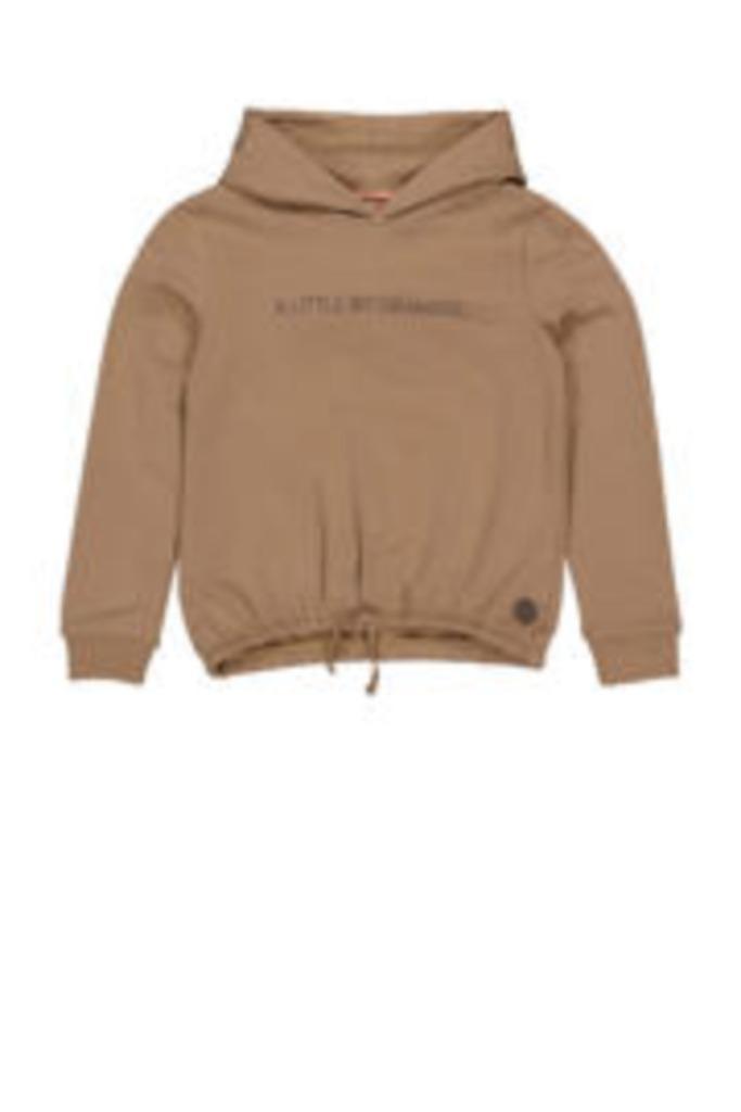 Nieuwe bruine hoodie maat 170/176 van Levv, Kinderen en Baby's, Kinderkleding | Maat 170, Nieuw, Meisje, Trui of Vest, Ophalen of Verzenden