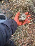 Grote kiezen stenen gratis, Tuin en Terras, Grind, Keien en Split, Ophalen