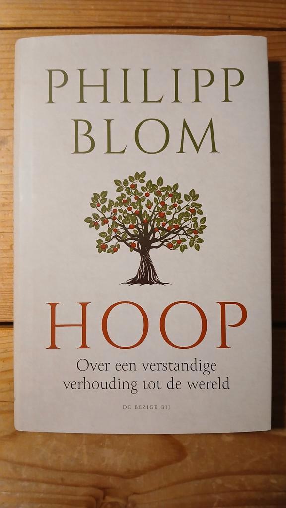 Philipp Blom - Hoop, Boeken, Psychologie, Zo goed als nieuw, Ophalen of Verzenden