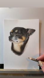 Realistische Huisdier Tekening in Kleur, Ophalen of Verzenden