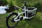 carqon Cruise Beltdrive 400 WH accu, Overige merken, Koedijkerweg 12a
3816 bv  Amersfoort, NL, Zo goed als nieuw, Carqon