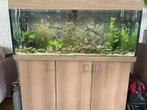 Aquarium, Ophalen, Gebruikt, Gevuld zoetwateraquarium