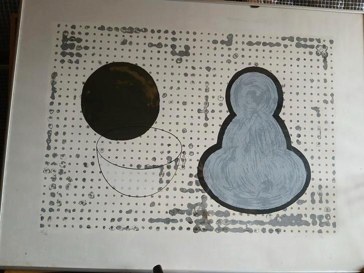 Thomas Ankum
Litho 1994, Antiek en Kunst, Kunst | Litho's en Zeefdrukken, Ophalen of Verzenden