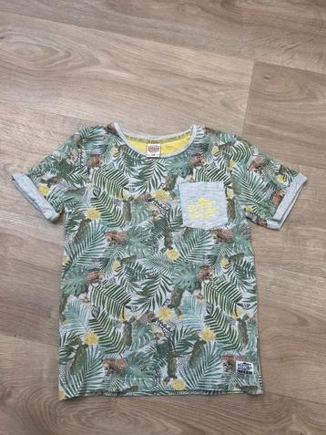 Grijs shirt - jungle - tijgers - Sturdy - 116 beschikbaar voor biedingen