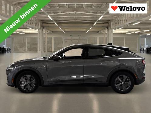 Ford Mustang Mach-E Extended RWD 98 kWh Grote Accu ! Alle Op, Auto's, Ford, Bedrijf, Te koop, Mustang, 360° camera, ABS, Achteruitrijcamera