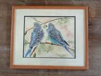 Aquarel Parkieten achter glas met houten lijst 50 x 40 cm, Ophalen