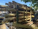 Partij taxus stammen, stammetjes, Doe-het-zelf en Verbouw, Hout en Planken, Ophalen, Overige typen, Nieuw, 250 tot 300 cm