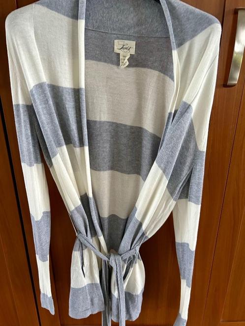 Nieuwe soepelvallende Levi’s vest grijs/wit gestreept, Kleding | Dames, Truien en Vesten, Nieuw, Maat 38/40 (M), Grijs, Ophalen of Verzenden