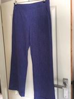 Studio anneloes xl, Kleding | Dames, Ophalen of Verzenden, Zo goed als nieuw, Maat 46/48 (XL) of groter, Paars
