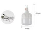 Noodverlichting 60 Watt lamp op USB kabel, Caravans en Kamperen, Kampeeraccessoires, Ophalen of Verzenden, Nieuw