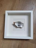 Oester schip in lijst, Huis en Inrichting, Minder dan 50 cm, Ophalen of Verzenden, Zo goed als nieuw, Minder dan 50 cm