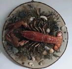 Taxidermie opgezette kreeft met schelpen, Ophalen of Verzenden, Nieuw, Overige soorten, Opgezet dier