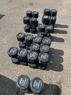Hammer strength dumbells gewichten fitness krachttraining, Ophalen, Dumbbell