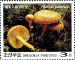 2003 Korea Flora Planten Paddestoelen, Postzegels en Munten, Postzegels | Thematische zegels, Ophalen of Verzenden, Postfris, Dier of Natuur