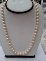 Parel collier/parelketting. Handgeknoopt op parelzijde., Ophalen of Verzenden, Overige materialen, Ketting