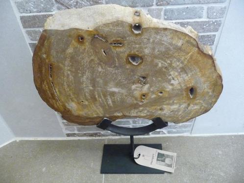 Nieuw versteende houten stam Manggis boomschorsen uit Bali., Antiek en Kunst, Antiek | Wandborden en Tegels, Ophalen of Verzenden