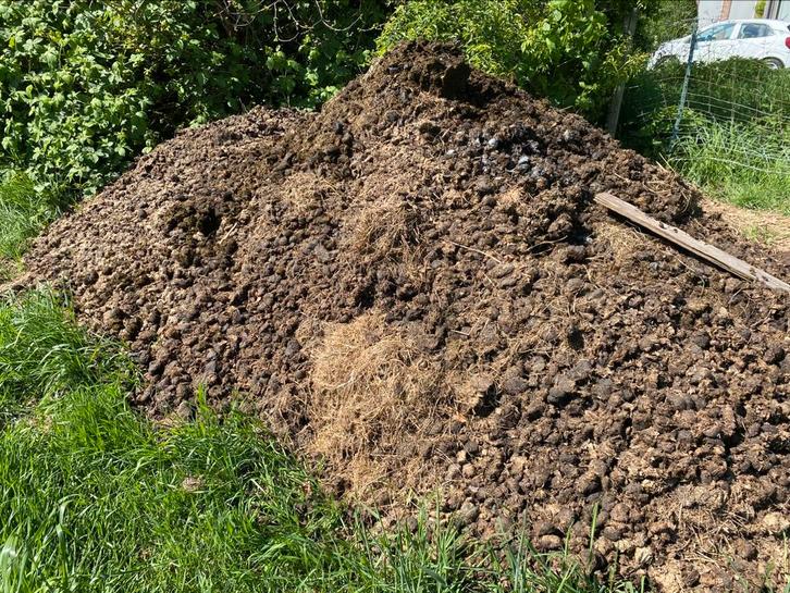 Paardenmest, moestuin, mest, rozen, gratis, Tuin en Terras, Aarde en Mest, Ophalen