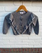 Zara Baby Knitwear vestje met ruches - maat 92 herfst, Ophalen of Verzenden, Zo goed als nieuw, Meisje, Trui of Vest