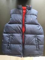Ralph Lauren bodywarmer blauw, rood, Ophalen, Ralph Lauren, Nieuw, Maat 48/50 (M)