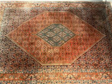 Groot handgeknoopt vintage Perzisch Bidjar Bijar tapijt 9653 beschikbaar voor biedingen