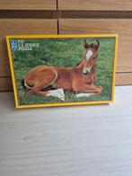F.X. Schmid Puzzel - Veulen - 500 Stukjes, Ophalen, 500 t/m 1500 stukjes, Gebruikt, Legpuzzel