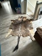 Gnoe huid, Ophalen of Verzenden, Zo goed als nieuw, Rechthoekig