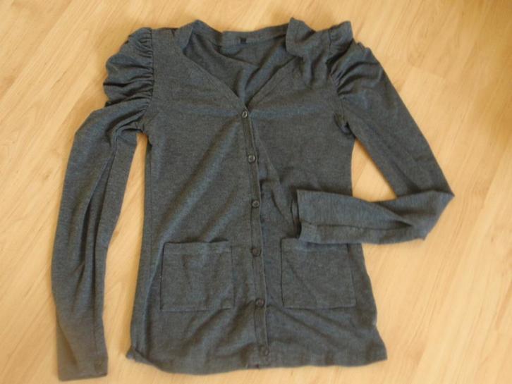 Grijs vestje met rimpelmouwen maat S/M, Kleding | Dames, Truien en Vesten, Zo goed als nieuw, Maat 36 (S), Grijs, Ophalen of Verzenden