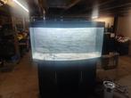 Juwel aquarium 120 lang, Dieren en Toebehoren, Vissen | Aquaria en Toebehoren, Ophalen, Zo goed als nieuw, Leeg aquarium