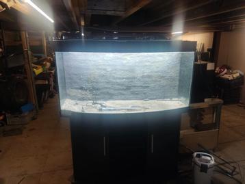 Juwel aquarium 120 lang  beschikbaar voor biedingen