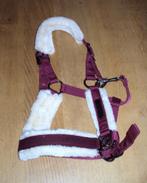 QHP halster maat pony, Dieren en Toebehoren, Ophalen of Verzenden, Zo goed als nieuw, Overige soorten