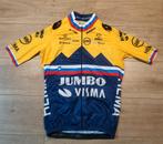 Wielershirt Jumbo Visma Sloveens kampioen, Ophalen of Verzenden, Zo goed als nieuw