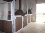 2x robuuste box, ponystal, shetlanderbox, stalwanden, Dieren en Toebehoren, Stalling en Weidegang