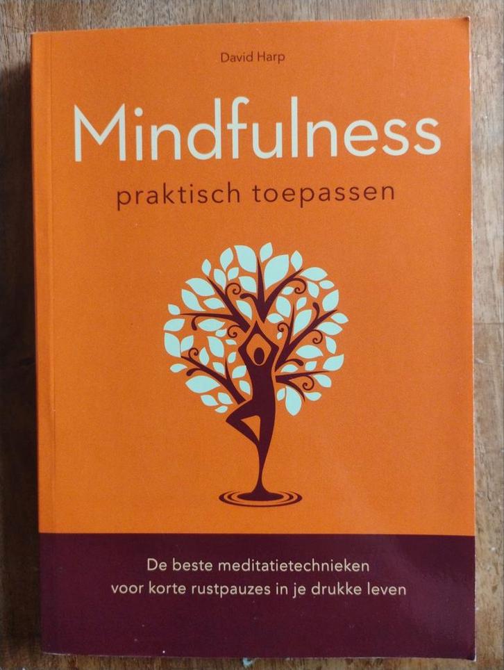 Mindfulness Praktisch Toepassen - David Harp, Boeken, Esoterie en Spiritualiteit, Zo goed als nieuw, Achtergrond en Informatie