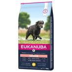 Eukanuba senior L XL 12kg, Dieren en Toebehoren, Dierenvoeding, Hond, Ophalen of Verzenden