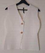 Mooie gilet, Ophalen of Verzenden, Nieuw
