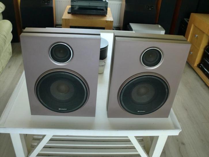 Sharp CP-1255H Made in Japan luidsprekers te beluisteren., Audio, Tv en Foto, Luidsprekers, Zo goed als nieuw, Front, Rear of Stereo speakers