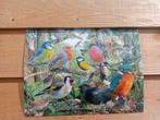 Prachtige 3d placemat met verschillende vogels, Ophalen of Verzenden, Nieuw
