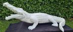 Grote witte krokodil bijna 1.20 meter, Antiek en Kunst, Ophalen of Verzenden