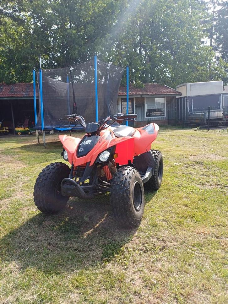 Can-Am DS 90 Quad - Jeugd ATV Bouwjaar 2023, Fietsen en Brommers, Minibikes, Midibikes en Pitbikes, Gebruikt, Overige typen, Ophalen