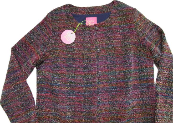 Jas/vest/ Kyra & Ko, Kleding | Dames, Jassen | Winter, Nieuw, Maat 38/40 (M), Paars, Ophalen of Verzenden