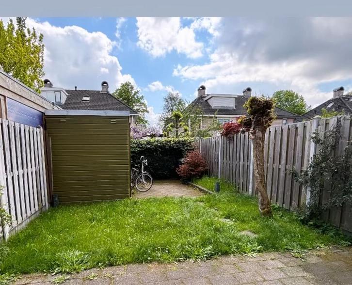 Tuinonderhoud, hovenier, Zwolle, Tuin en Terras, Planten | Tuinplanten, Overige soorten, Volle zon, Zomer, Ophalen of Verzenden