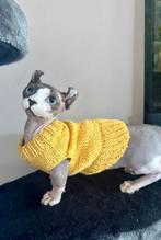 Handmade Trui kattenkleding Sphynx Rex Kitten Kat Naaktkat, Dieren en Toebehoren, Ophalen of Verzenden, Nieuw
