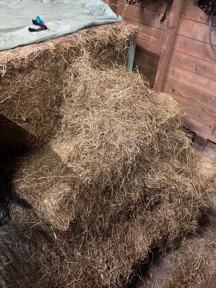9 pakken gewikkeld hooi haylage voordroog, Dieren en Toebehoren, Stalling en Weidegang