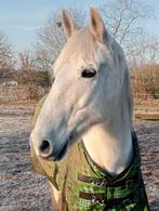 Verzorger gezocht omgeving Wageningen, Dieren en Toebehoren, Ophalen of Verzenden