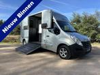 Renault Master MTM 2-paards paardenvrachtwagen MARGE B-rijbe, Gebruikt, Info@hulshof-trading.nl, Overige typen, Hulshof-Trading