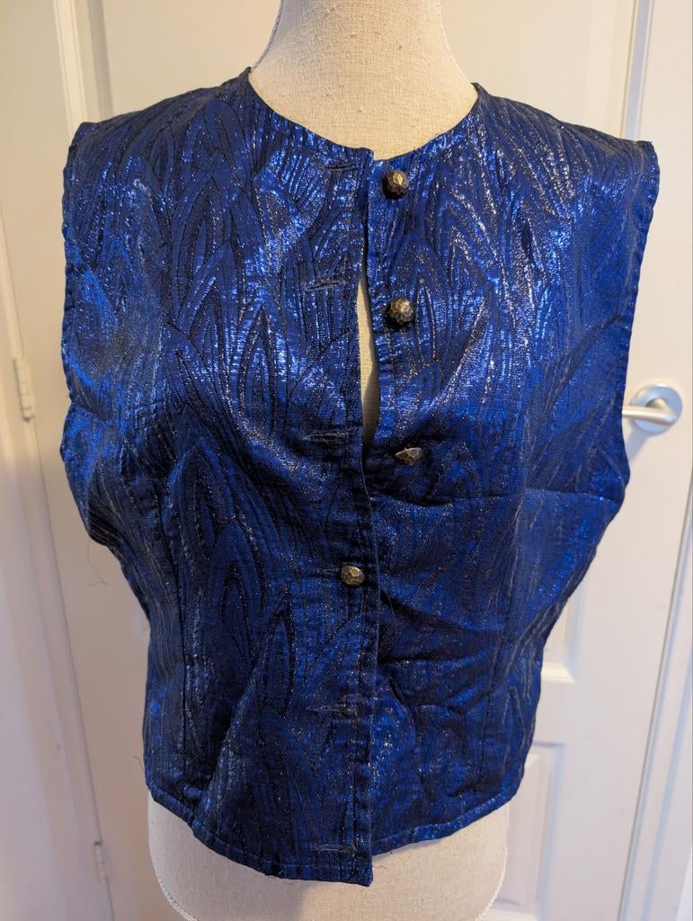 Glitter gilet maat s/m,, Ophalen of Verzenden, Zo goed als nieuw, Maat 38/40 (M), Overige thema's