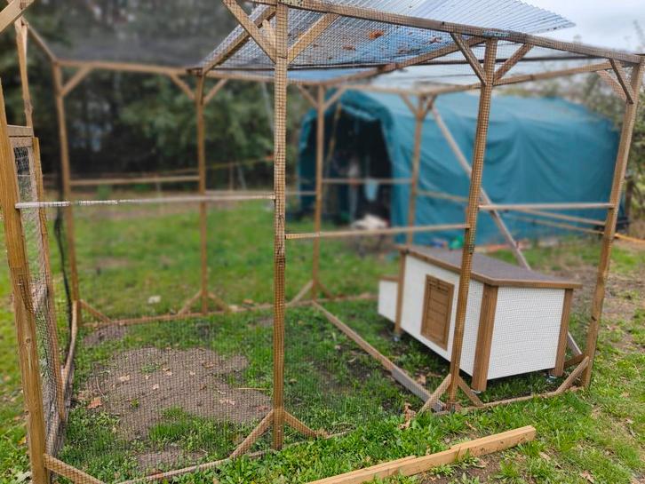 Kippenhok met ren. 3 x 2 x 2 meter., Dieren en Toebehoren, Vogels | Hokken en Kooien, Hout, Ophalen