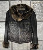 Stoer Belstaff Gold Label winterjack. Mt S., Bruin, Ophalen of Verzenden, Zo goed als nieuw, Maat 36 (S)