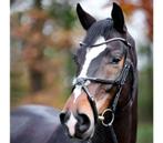Kavalkade hoofdstel met mexicaanse neusriem maat ful zgan, Dieren en Toebehoren, Ophalen of Verzenden, Zo goed als nieuw, Springen